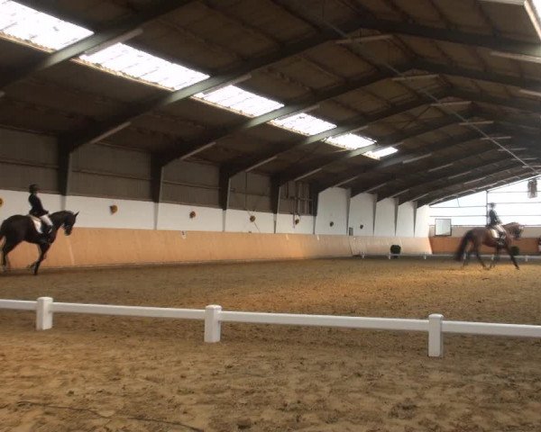 Reitturnier Datteln 2018