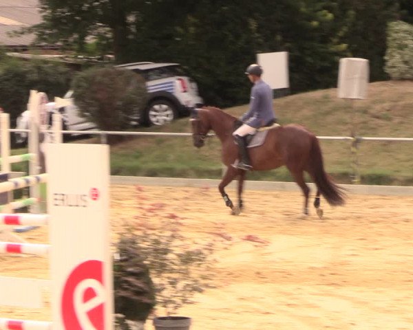 Reitturnier Duderstadt 2018