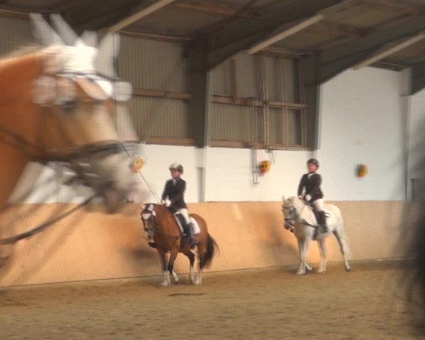 Reitturnier Datteln 2018