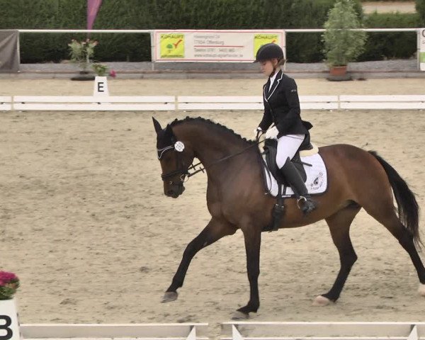 Reitturnier Durmersheim-Hardt 2018