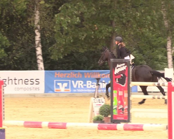 Reitturnier Duderstadt 2018