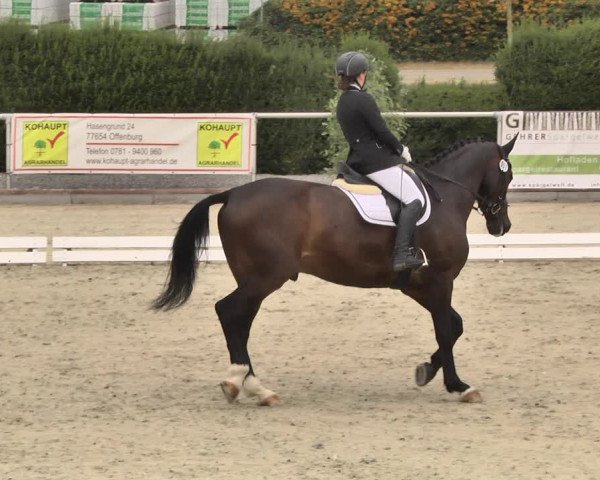 Reitturnier Durmersheim-Hardt 2018
