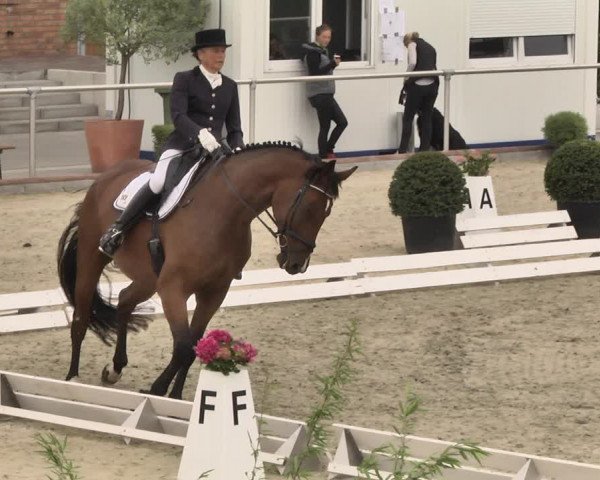 Reitturnier Durmersheim-Hardt 2018