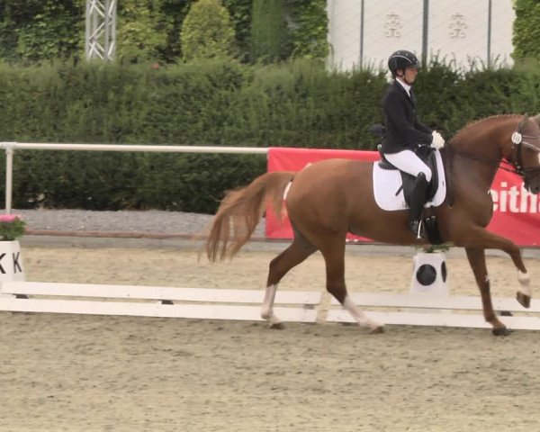 Reitturnier Durmersheim-Hardt 2018
