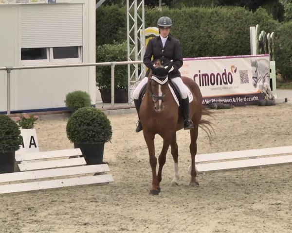 Reitturnier Durmersheim-Hardt 2018