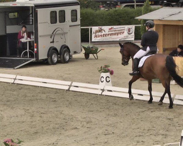 Reitturnier Durmersheim-Hardt 2018
