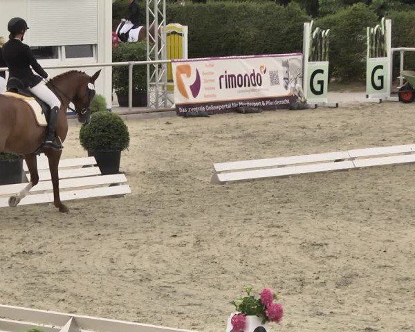 Reitturnier Durmersheim-Hardt 2018