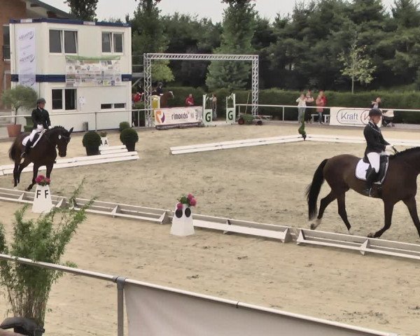 Reitturnier Durmersheim-Hardt 2018