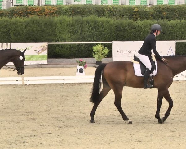 Reitturnier Durmersheim-Hardt 2018