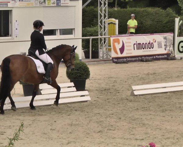 Reitturnier Durmersheim-Hardt 2018