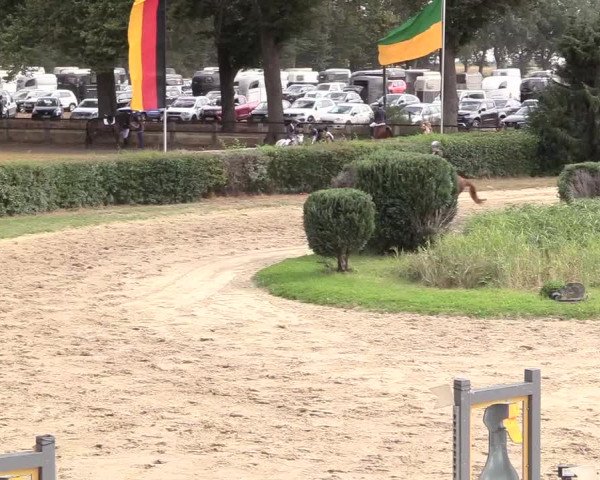 Reitturnier Recklinghausen 2018