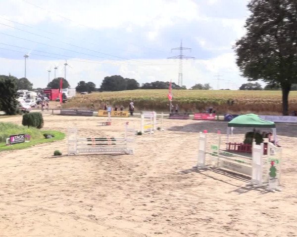 Reitturnier Recklinghausen 2018