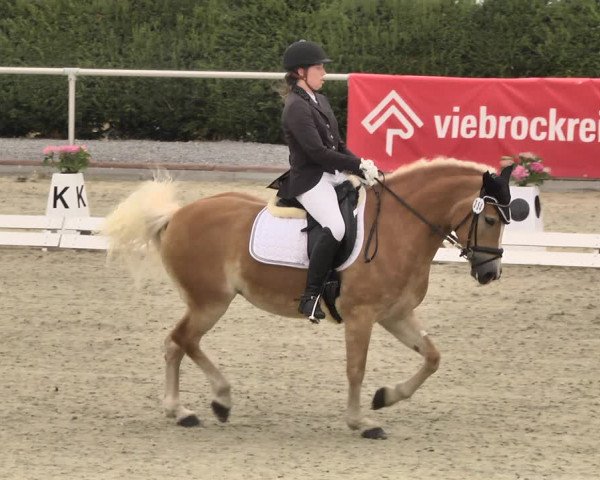 Reitturnier Durmersheim-Hardt 2018