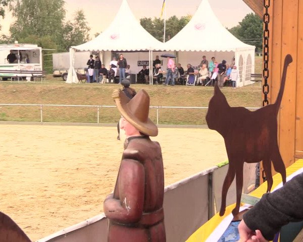 Reitturnier Duderstadt 2018