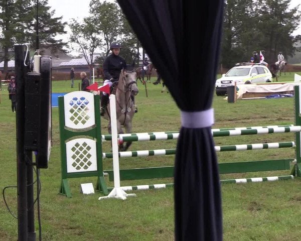 Reitturnier Löwenstedt 2018