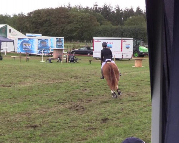 Reitturnier Löwenstedt 2018