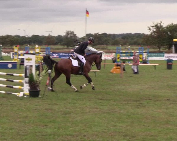 Reitturnier Löwenstedt 2018