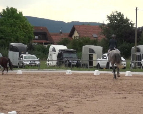 Reitturnier Weilheim/Teck 2018