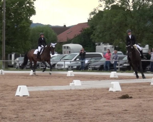 Reitturnier Weilheim/Teck 2018