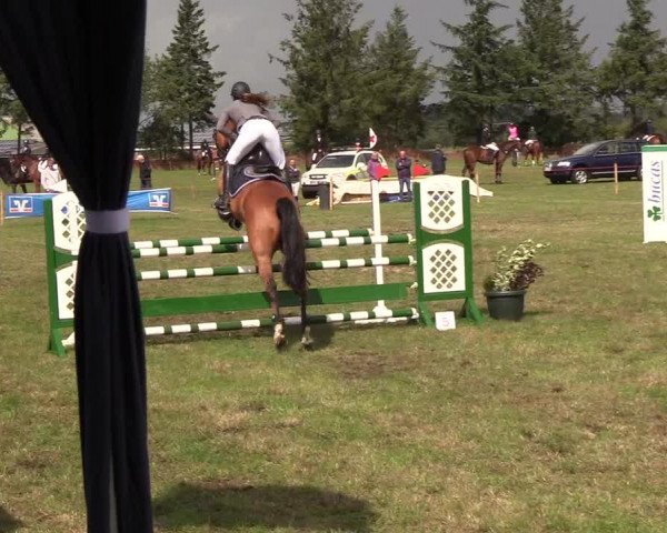 Reitturnier Löwenstedt 2018