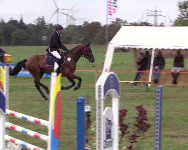 Reitturnier Löwenstedt 2018