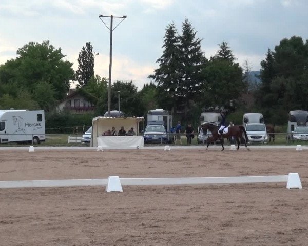 Reitturnier Weilheim/Teck 2018