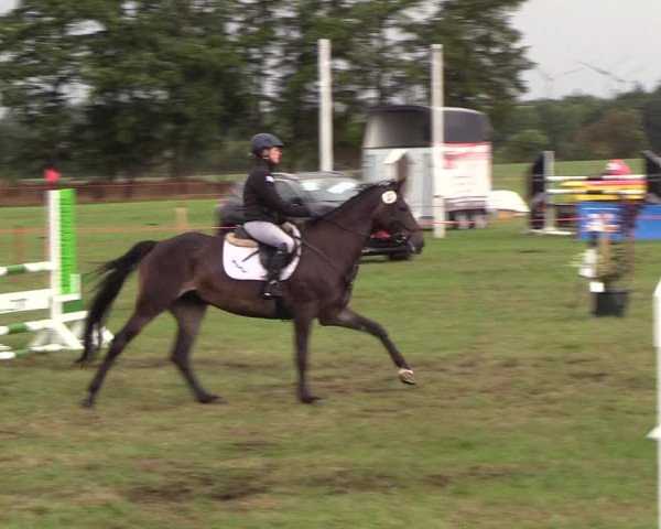 Reitturnier Löwenstedt 2018