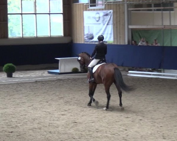 Reitturnier Weilheim/Teck 2018