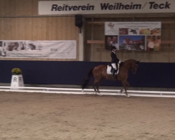 Reitturnier Weilheim/Teck 2018