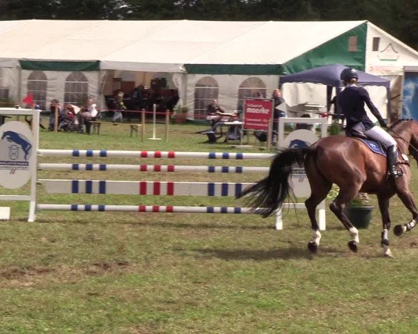 Reitturnier Löwenstedt 2018