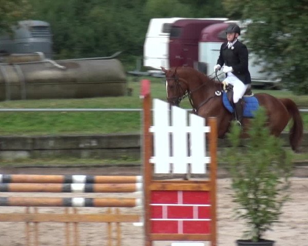 Reitturnier Weilheim/Teck 2018