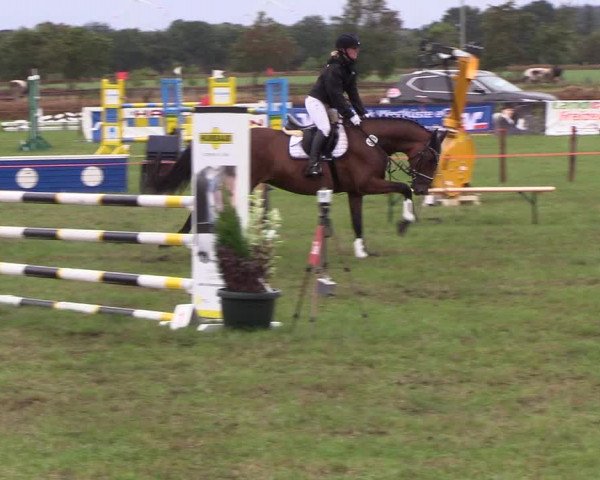 Reitturnier Löwenstedt 2018