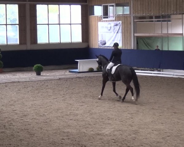 Reitturnier Weilheim/Teck 2018