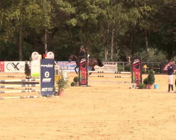 Reitturnier Duderstadt 2018