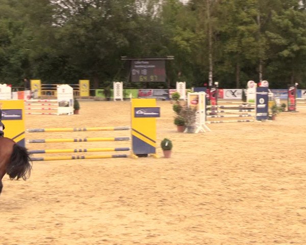 Reitturnier Duderstadt 2018