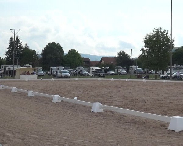 Reitturnier Weilheim/Teck 2018