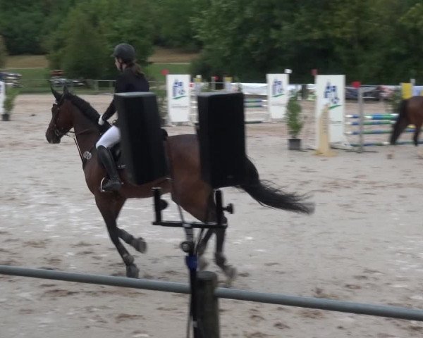 Reitturnier Weilheim/Teck 2018