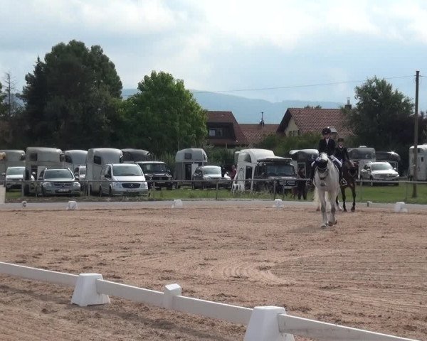 Reitturnier Weilheim/Teck 2018