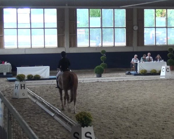 Reitturnier Weilheim/Teck 2018