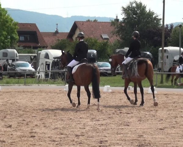Reitturnier Weilheim/Teck 2018