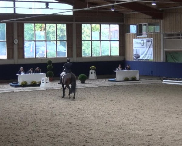 Reitturnier Weilheim/Teck 2018