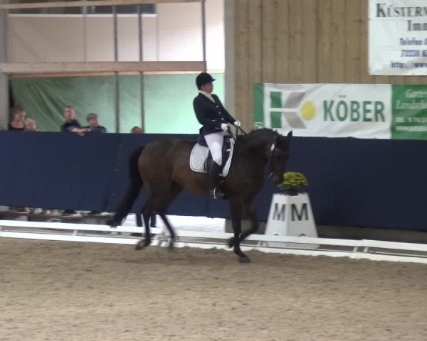 Reitturnier Weilheim/Teck 2018