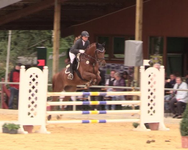 Reitturnier Duderstadt 2018