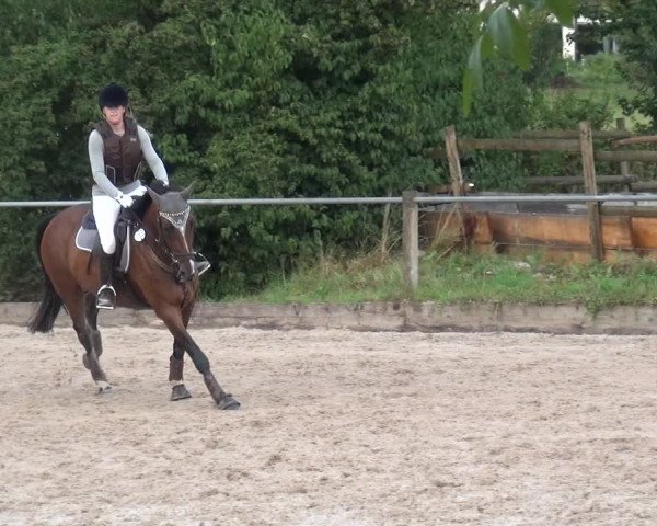 Reitturnier Weilheim/Teck 2018