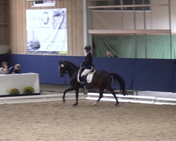 Reitturnier Weilheim/Teck 2018