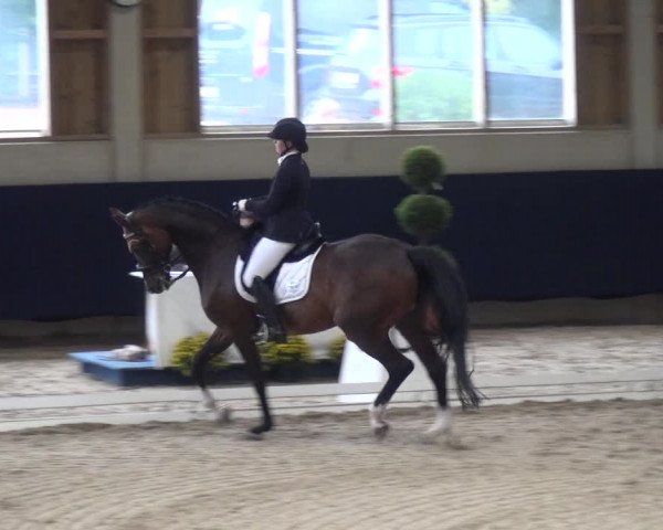 Reitturnier Weilheim/Teck 2018