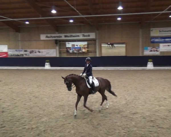 Reitturnier Weilheim/Teck 2018