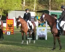 dressage horse Galijano (unknown, 2000)