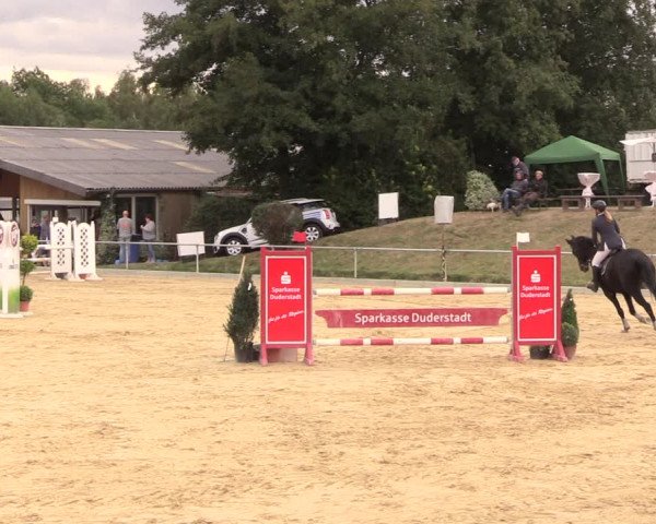 Reitturnier Duderstadt 2018