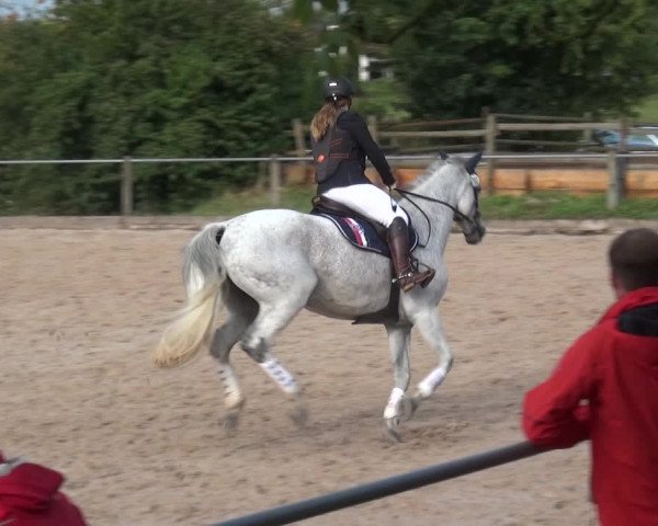 Reitturnier Weilheim/Teck 2018